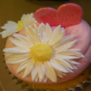 Cupcakes Galore Occasions